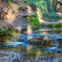 Auf dem geoökologischen Lehrpfad durch die Bitterbachschlucht in Lauf (Nürnberger Land) 2 bitterbachschlucht lauf nürnberger land