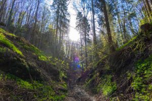 tiefenthalschlucht naturpark fränkische schweiz keltenweg h