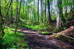 waldlehrpfad teufelsgraben langenzenn landkreis fürth