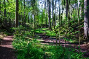 teufelsgraben langenzenn wandertour waldweg landkreis fürth