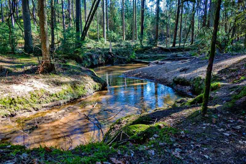 Geheimnisvolle Gräben, Schluchten und Klammen in Franken 19 geheimnisvolle graben klamm schlucht franken wandern bayern