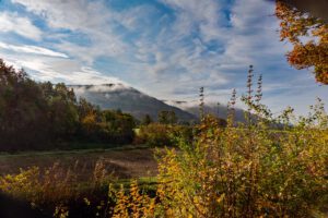 TIER- UND WILDPARKS 20 fränkische schweiz