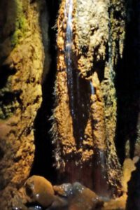 saalfelder feengrotten tropfstein versteinerte wurzel schaubergwerk