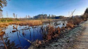Im Land der tausend Teiche - Wanderung durch die Tirschenreuther Teichpfanne zur Himmelsleiter (Oberpfalz) 14 tausend teiche tirschenreuth wandern