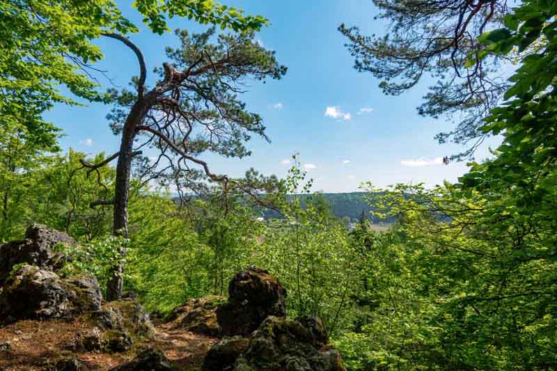 Die 10 schönsten Wanderungen in der Oberpfalz 6 kulturhistorische höhlenwanderung illschwang kalmusfelsen