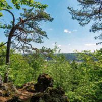 Kulturhistorische Höhlenwanderung Illschwang (Oberpfalz) 37 kulturhistorische höhlenwanderung illschwang kalmusfelsen