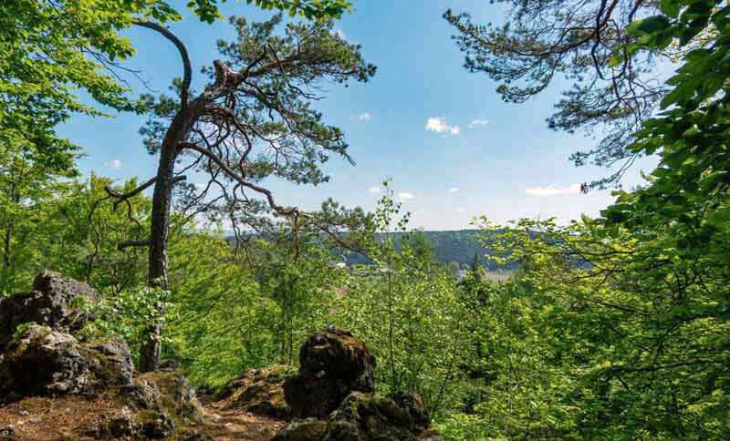 kulturhistorische höhlenwanderung illschwang kalmusfelsen