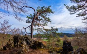 OBERPFÄLZER WALD 22 kulturhistorische wanderung illschwang oberpfalz aussichtspunkt kalmusfelsen hainsburg winter