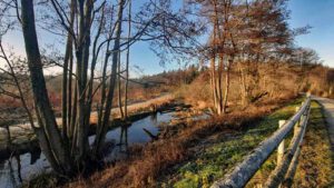 Im Land der tausend Teiche - Wanderung durch die Tirschenreuther Teichpfanne zur Himmelsleiter (Oberpfalz) 15 wandern stiftland tirschenreuth himmelsleiter