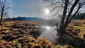 Im Land der tausend Teiche - Wanderung durch die Tirschenreuther Teichpfanne zur Himmelsleiter (Oberpfalz) 19 wandern bayern oberpfalz tirschenreuth