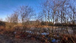 Im Land der tausend Teiche - Wanderung durch die Tirschenreuther Teichpfanne zur Himmelsleiter (Oberpfalz) 16 wandern bayern tirschenreuth himmelsleiter