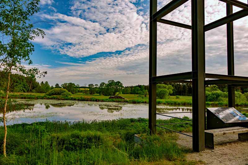 Im Land der tausend Teiche - Wanderung durch die Tirschenreuther Teichpfanne zur Himmelsleiter (Oberpfalz) 33 tirschenreuth teichpfanne tausend teiche oberpfalz wandern karpfen himmelsleiter