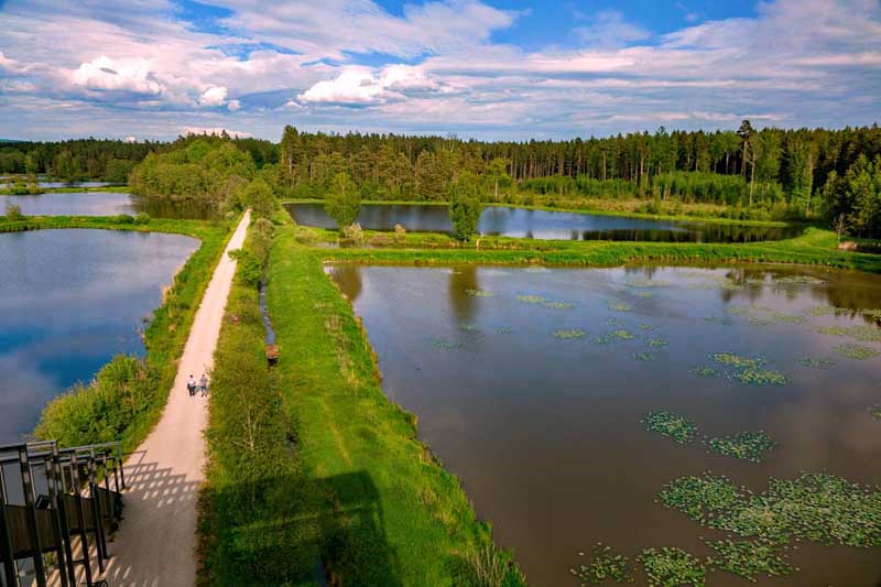 Im Land der tausend Teiche - Wanderung durch die Tirschenreuther Teichpfanne zur Himmelsleiter (Oberpfalz) 7 blick von der himmelsleiter auf die tirschenreuther teichpfanne oberpfalz wanderung
