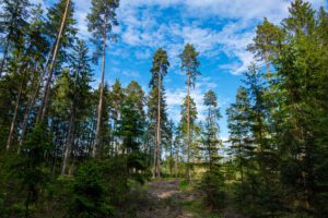 wandern tirschenreuther teichpfanne zur himmelsleiter