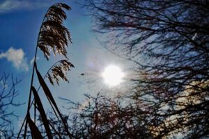 abenteuer familien rundweg stein nürnberg winter wanderung