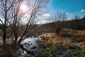 abenteuer-familien-rundweg stein bei nürnberg