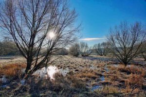 wandern im winter schnee eis mittelfranken nürnberg stein