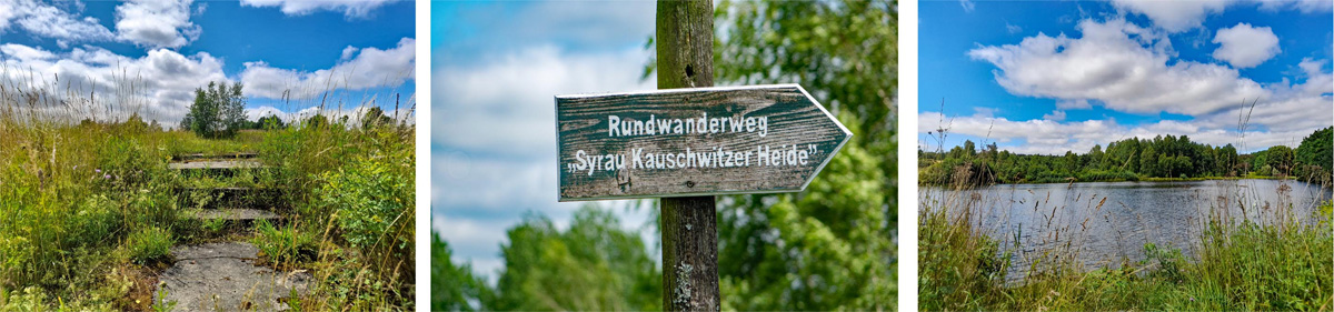 GEHEIMNISVOLLE UNTERWELT - DRACHENHÖHLE SYRAU 19 rundweg durch die syrau kauschwitzer heide