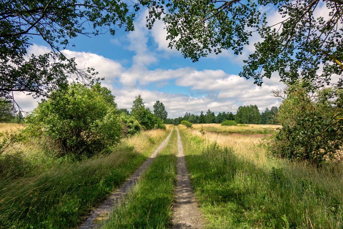 GEHEIMNISVOLLE UNTERWELT - DRACHENHÖHLE SYRAU 17 rundweg syrau kauschwitzer heide wandern
