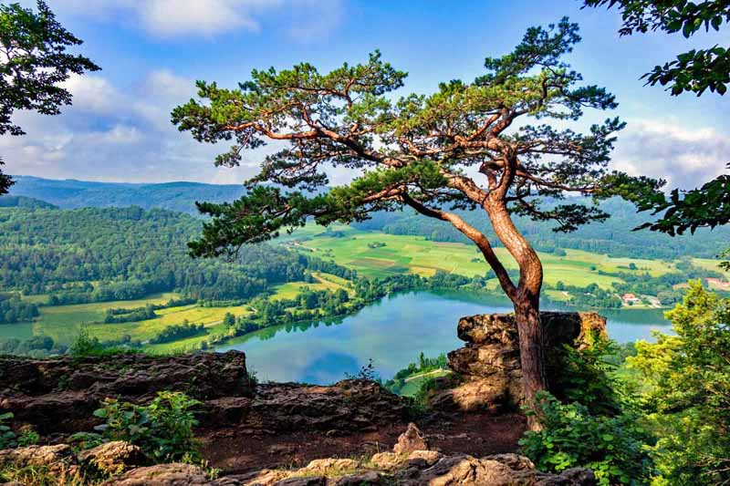 wandern nürnberger land happurger stausee houbirg