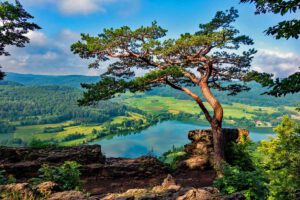 Winterwanderungen rund um Nürnberg 28 wandern nürnberger land happurger stausee  houbirg