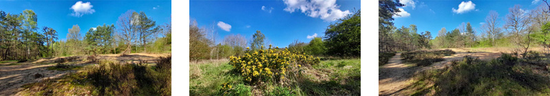 Indianerschlucht Erlangen 3 wandern sandachse franken erlangen indianerschlucht heide trockenrasen