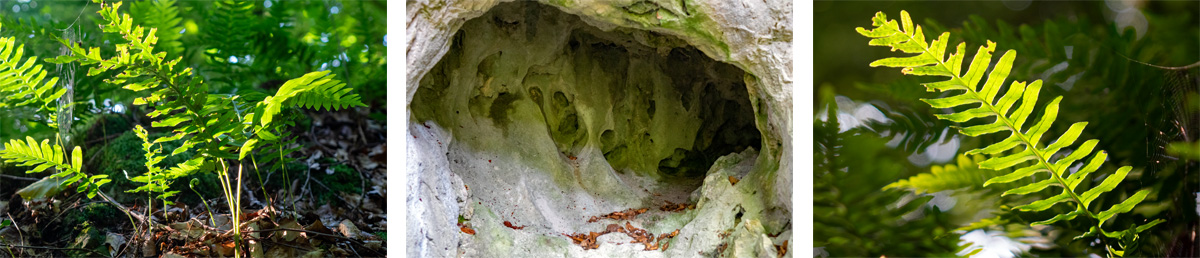 höhle hohllochberg velburg oberpfalz kraftorte wanderung