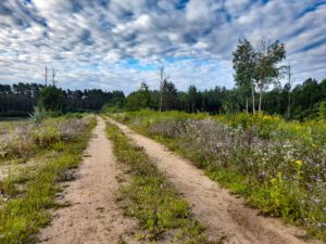 nuernberg gruene oasen naturschutzgebiet hafen foehrenbuck natur kinder familienausflug wandern