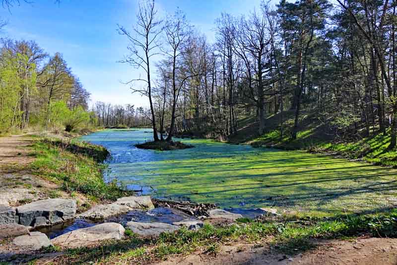 naturschutzgebiet nürnberg fürth hainberg truppenübungsplatz sandachse franken