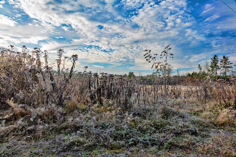 fränkische wüste sandachse franken naturschutzgebiet