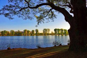Streetart-Rundgang Nürnberg-Langwasser 35 volkspark dutzendteich nürnberg wanderung sonnenaufgang kongresshalle