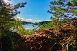 Wanderungen im Landkreis Roth - Halbstagestouren zwischen 6 und 10 km 31 unterwegs auf der sandachse franken