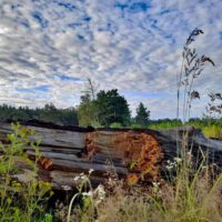 buggy taugliche wanderwege nürnberg