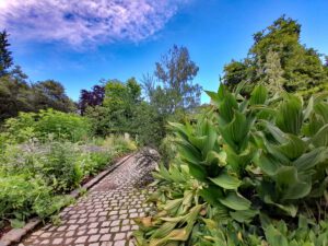 botanischer garten hof oberfranken bayern