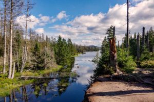 UMWELTFREUNDLICH REISEN 21 oderteich moor deutschland harz