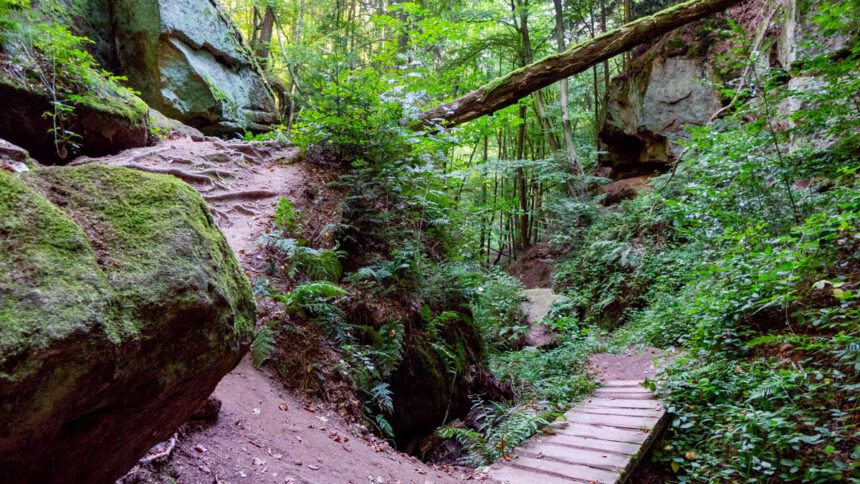 wandern im landkreis roth massendorfer schlucht
