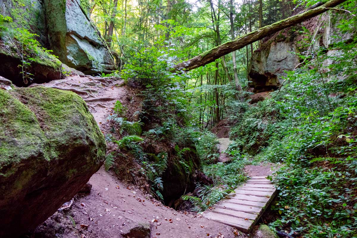 Die schönsten Wandertouren im Landkreis Roth 4 wandern im landkreis roth massendorfer schlucht