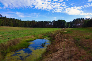 rundweg nr. 3 büchenbach aurau landkreis roth mittelfranken