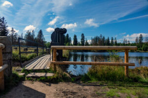 UMWELTFREUNDLICH REISEN 15 wandern rundweg moor oderteich sankt andreasberg harz b242 damm abfluss