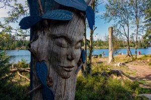 UMWELTFREUNDLICH REISEN 20 oderteich moor deutschland harz