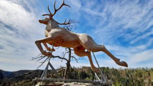 FrankenwaldSteigla Petersgrat 22 hirsch hirschsprung höllental frankenwald hof wanderung