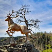 Durch das Höllental zum Hirschsprung (Naturpark Frankenwald) 7 wanderung höllental frankenwald hof hirschsprung könig david