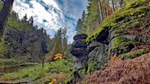 Waldnaabtal Rundweg Hammermühle 20 waldnaabtal wandern oberpfalz