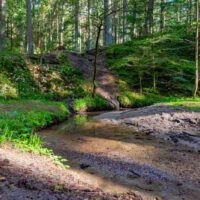 thanngraben altenthann wandern