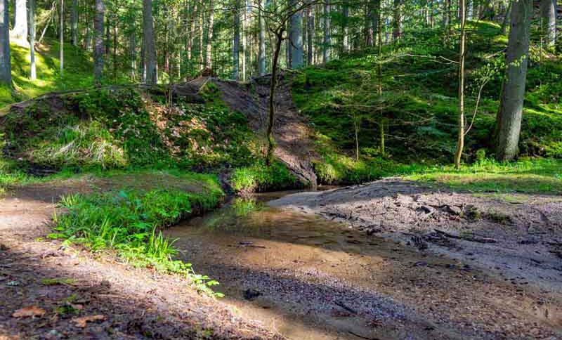 thanngraben altenthann wandern