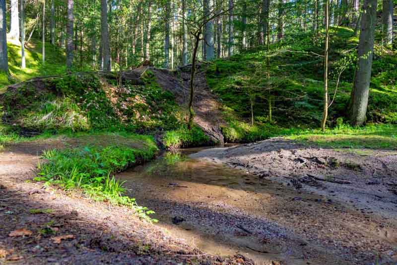 Geheimnisvolle Gräben, Schluchten und Klammen in Franken 23 thanngraben altenthann wandern