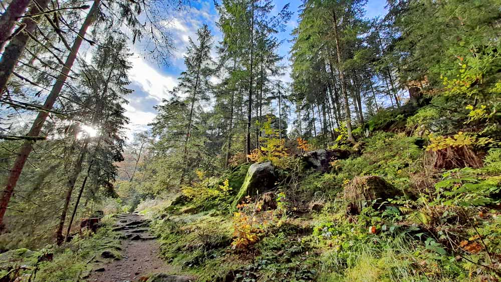Waldnaabtal Rundweg Hammermühle 19 waldnaabtal oberpfalz suedrunde uferweg