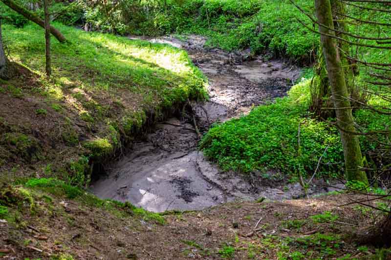 Thanngraben Altenthann 6 thanngraben schlucht klamm mittelfranken