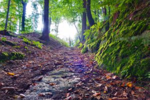 wanderweg nr 3 espanrunde thalmässing altmühltal