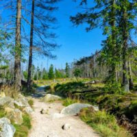 wanderung rund um das torfhaus im nationalpark harz